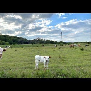 Meet your Posher, Machaela